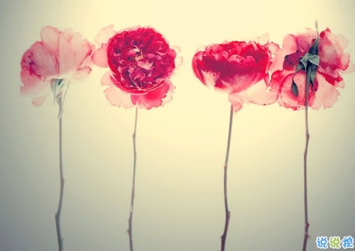 致自己的人生經(jīng)典說說帶圖片 最新朋友圈經(jīng)典說說人生哲言2