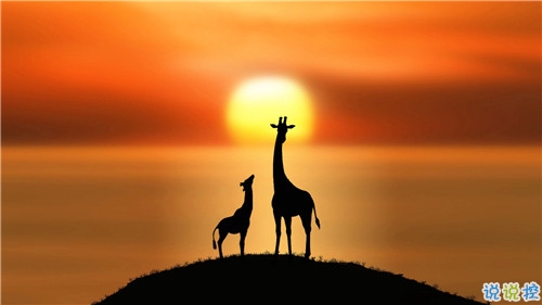 姑娘，我有15句悄悄話說給你聽。5