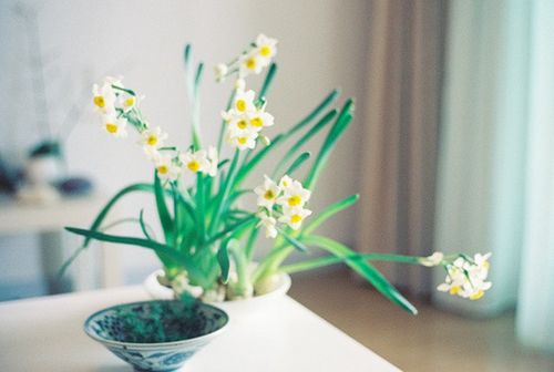 關(guān)于人生生活還有成長(zhǎng)的有哲理內(nèi)涵精辟的說說帶圖片4