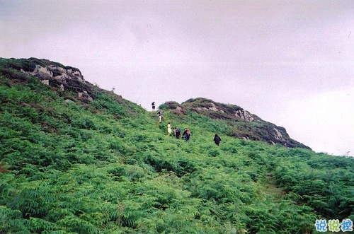 抖音說說短語霸氣高冷男生 比較火的霸氣超拽說說4