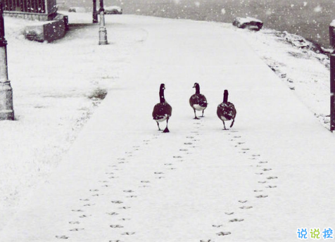 戳心又勵(lì)志的說說帶圖片精選 正能量說說給努力奮斗的自己9