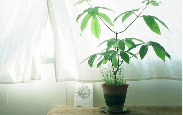 關(guān)于愛(ài)情的甜蜜小句子帶圖片 我忘記誰(shuí)都不能忘記那個(gè)夏天的你6