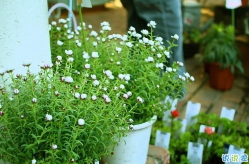 值得收藏的人生大道理勵(lì)志說說帶圖片 好聽的激勵(lì)人心的說說配圖7