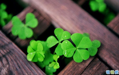 2019微信樂觀勵志的句子帶圖片 經(jīng)典勵志說說心情短語4