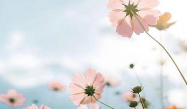 七月早安正能量勵(lì)志哲理說說帶圖 早安！七月！14