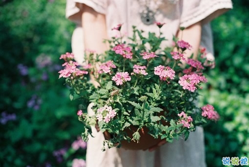 很特別的微信說說帶圖片獨一無二 15條值得收藏的經(jīng)典句子14