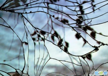 很唯美的愛情說說帶圖片大全 別因為太愛一個人而失去了自己7