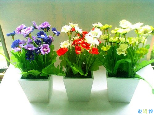 2019關(guān)于春分的微信說(shuō)說(shuō)帶圖片 春分節(jié)氣早安祝福語(yǔ)15