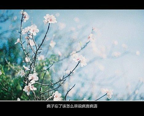 超傷感難過悲傷的愛情說說 你是我枯水年紀(jì)里的一場雨4