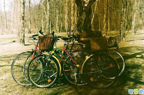 帶圖片的勵志說說人生感悟 別辜負(fù)了你的野心也別對不起你受的苦3