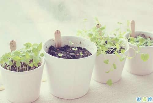 最近特別流行的個性說說大全 獨一無二的朋友圈個性說說20191