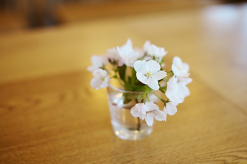 很含蓄唯美的藏頭詩(shī)說(shuō)說(shuō)帶圖片文字控會(huì)很喜歡1