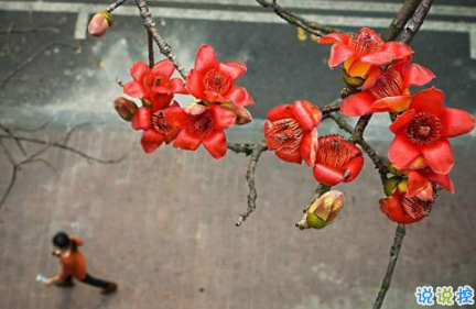 最火情侶說說秀恩愛短句帶圖片 超級喜歡一個人的說說6