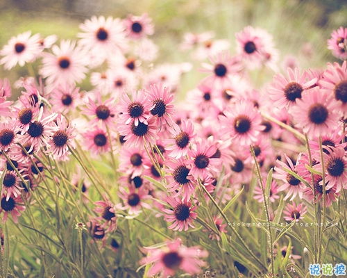 迎接2019的說說滿滿正能量帶圖片 與2018說再見用雙手去擁抱201914