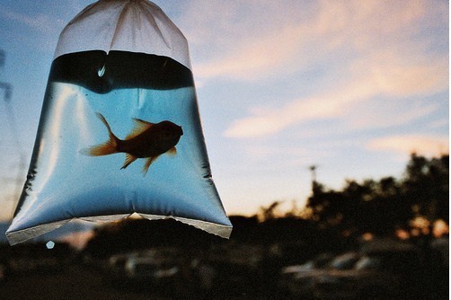 提到愛情有時(shí)會(huì)心痛心碎的傷感說說帶圖片12