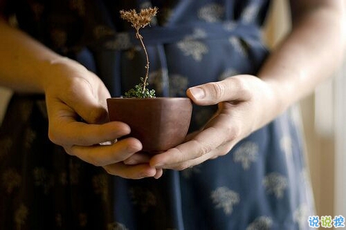 選擇放棄的傷感愛情說說帶圖片 描述對(duì)愛情感到無奈的說說13