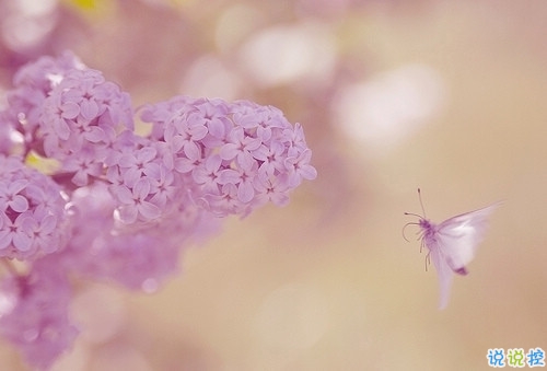 獨(dú)一無二的qq個(gè)性說說帶圖片 充滿陽光的經(jīng)典說說20193