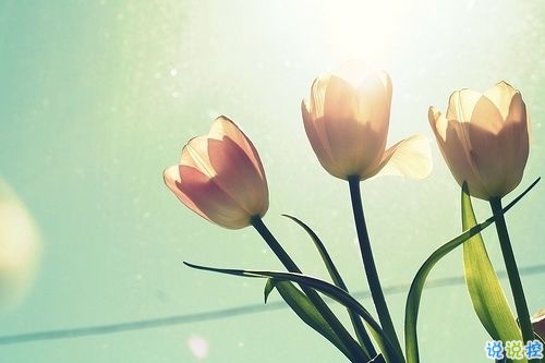 個性霸氣勵志短語說說大全 比較成熟有內(nèi)涵的個性說說5