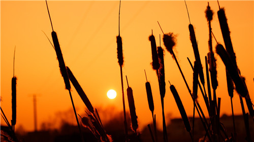 痛徹心扉的傷感愛情說說帶圖片 我在每個(gè)下雨天想起你7