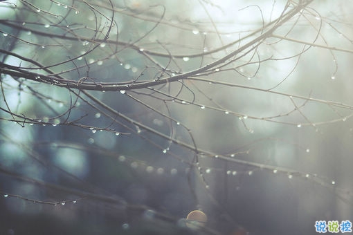 男生成熟傷感說說大全帶圖片 一句話述說愛情真理的說說配圖8