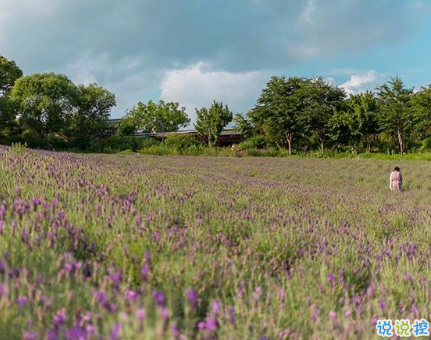 睡覺(jué)前的朋友圈晚安說(shuō)說(shuō)帶圖片 晚安心語(yǔ)說(shuō)說(shuō)心靈雞湯配圖7