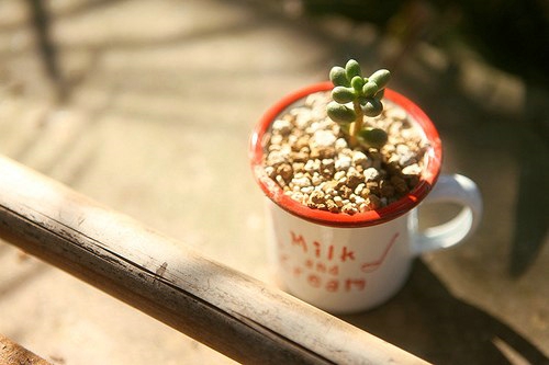 超勵(lì)志的感悟人生的說(shuō)說(shuō)和圖片 幸福沒有明天只有現(xiàn)在3