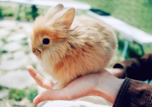 痛到快不能呼吸的傷感說說帶圖片 感到心情低落時發(fā)的說說3