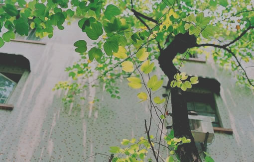 關(guān)于愛情的有些傷感難過的說說帶圖片 遇你之后步步都難走3