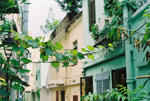 關于人生哲理和現(xiàn)實經(jīng)歷的一句話簡單精辟的說說帶圖片1