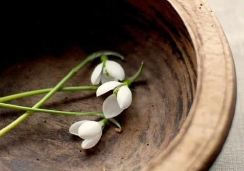 英文美句簡(jiǎn)短勵(lì)志帶圖片最新版 2018英文美句帶翻譯一句話4