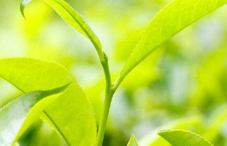 在夢里也會潸然淚下的說說帶圖 如果時光倒流峩捫能抓得住什么4