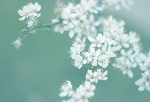 很有詩意的英文哲理句子 一句話但是很有意思的內(nèi)涵句子 1