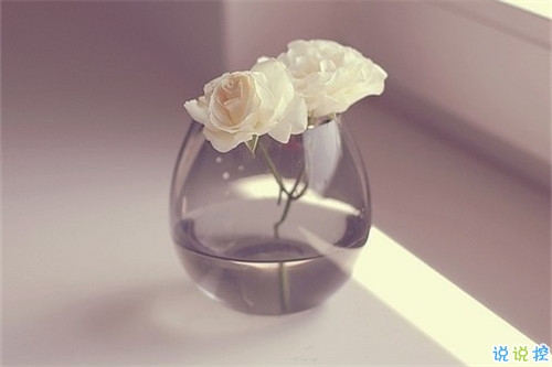 2019傷感經(jīng)典語錄英文版 憂傷的英文句子帶翻譯2