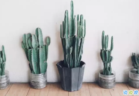 ?告別八月迎接九月的正能量早安說(shuō)說(shuō) 朋友圈九月早安心語(yǔ)說(shuō)說(shuō)20181