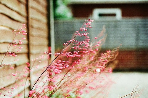 一個(gè)人感到孤獨(dú)寂寞時(shí)發(fā)的說(shuō)說(shuō)帶圖片 一個(gè)人只要學(xué)會(huì)了回憶就再不會(huì)孤獨(dú)2