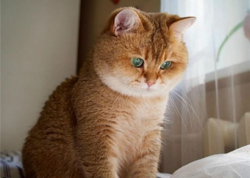 可以戳中中你笑點(diǎn)的搞笑說(shuō)說(shuō)帶圖片7