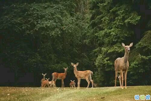 突然不喜歡一個人/放棄一個人是一種什么樣的感受？8