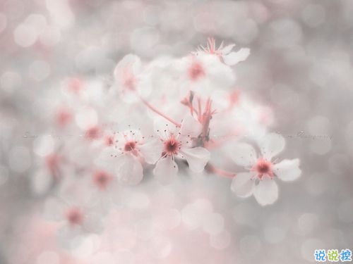 形容天氣很冷的微信說(shuō)說(shuō)帶圖片 冬天凍死人的說(shuō)說(shuō)精辟一句話7