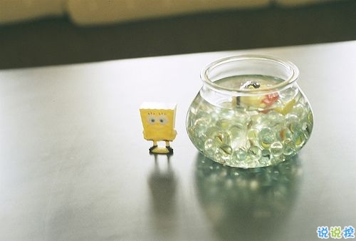 幸福情侶唯美說(shuō)說(shuō)帶圖片大全 我要陪你從新型安走到歸屬感和安全感6