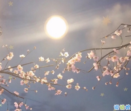 對(duì)愛情徹底失望的傷感說說帶圖片 一個(gè)人感到十分心累的傷感說說6