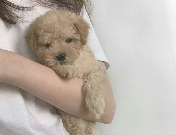 關(guān)于生活的很現(xiàn)實(shí)的哲理說(shuō)說(shuō)有道理的那種10