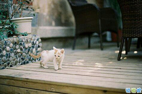 一個(gè)人獨(dú)處時(shí)的孤獨(dú)寂寞的說說帶圖片 你有看過凌晨三點(diǎn)的星星嗎10