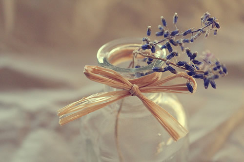 很現(xiàn)實的人生感悟空間說說大全 關于成長和成熟你需要知道的說說10