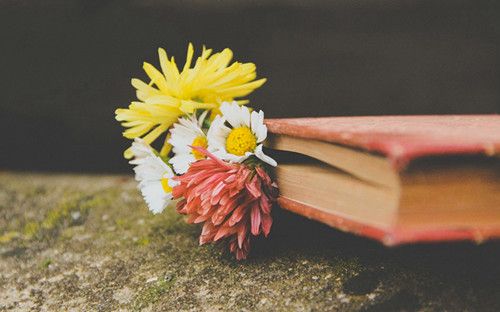 關(guān)于愛情的經(jīng)典精辟說說帶圖片 人一旦愛了一顆心就能百轉(zhuǎn)千回10