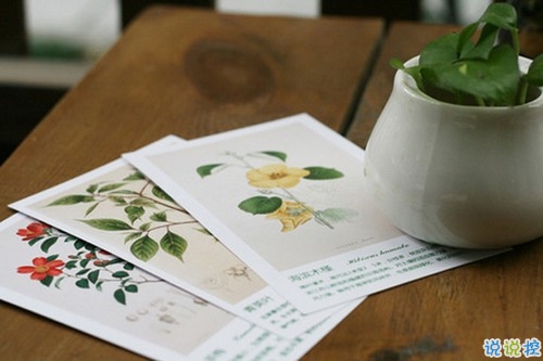 40句很傷感的抖音上流行的心情說說 感到孤獨寂寞的心情說說2