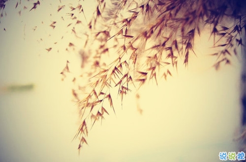 從來(lái)沒為自己活過(guò)是什么感受 表示很心累的心酸句子2