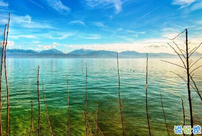 不是每件事都注定會(huì)成功，但是每件事都值得一試12
