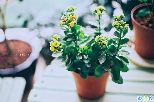 很勵志的關(guān)于成長青春和夢想的感悟人生的說說帶圖片15