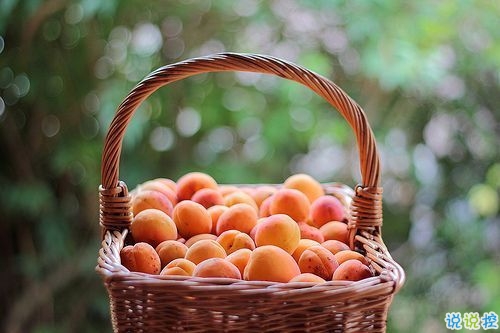 人生經(jīng)典名言說說大全帶圖片 積極向上的哲理說說配圖關(guān)于人生和成長(zhǎng)3