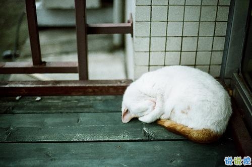 文字控偏愛的簡單文藝圖片句子 往后余生風雪是你平淡是你1